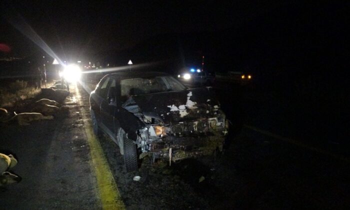 Kayseri’de sürüye dalan otomobilin sürücüsü yaralandı, 13 koyun telef oldu