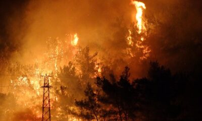 Kazmaca köyündeki ormanlık alandaki yangın karanlığını kızıla boyadı
