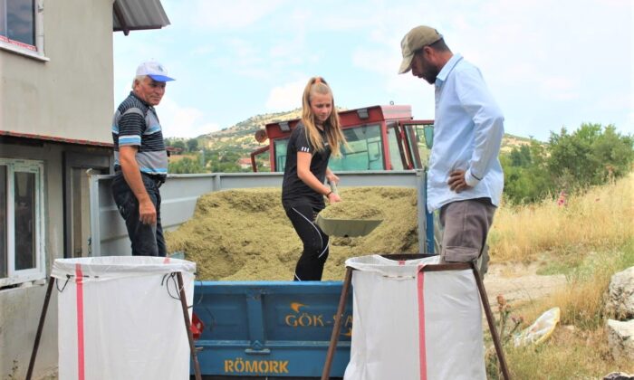 Kekik tarlasından milli takıma