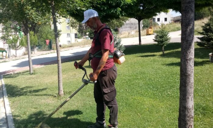 Kent genelinde yabani ot temizliği başladı