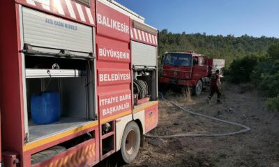 Kepsut’ta ormanlık alandaki yangın korkuttu