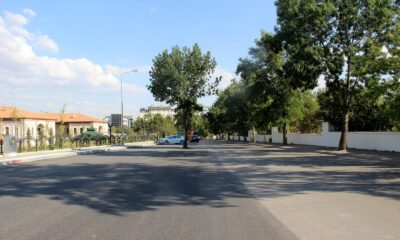 Kesmeye kıyamadıkları ağaç yol ortasında kaldı