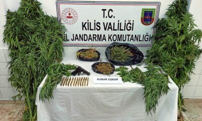 Kilis’te esrar operasyonu: 5 gözaltı