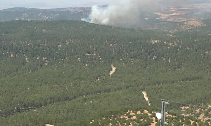Kilis’te orman yangını