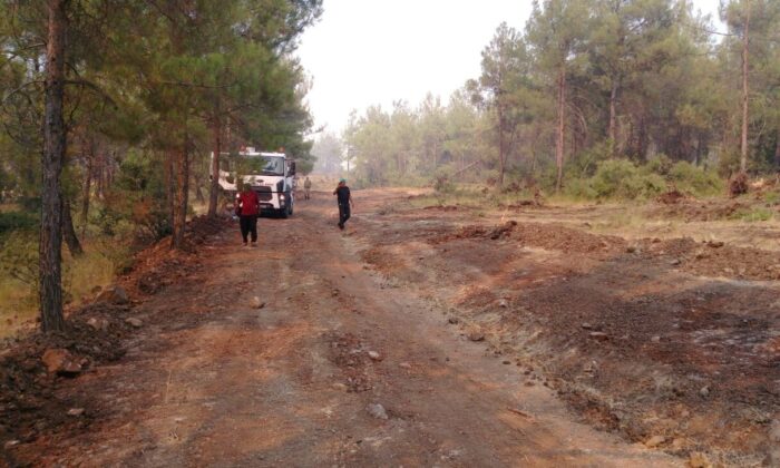 Kilis’teki orman yangını kontrol altına alındı
