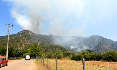 Kimisi şişeyle söndürdü, kimisi hortumu tuttu, kimisi su taşıdı