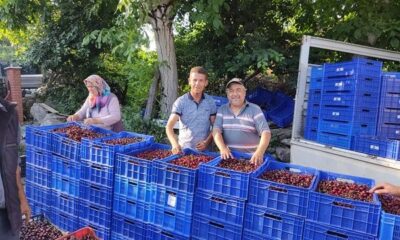 Kirazın merkezi Bigadiç’te sezon sona erdi