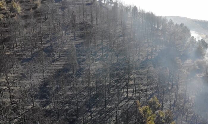 Kırıkkale’de orman yangını: 10 dönümlük alan küle döndü