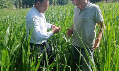 Kırklareli’nde üreticiler yaprak kurduna karşı bilgilendirildi