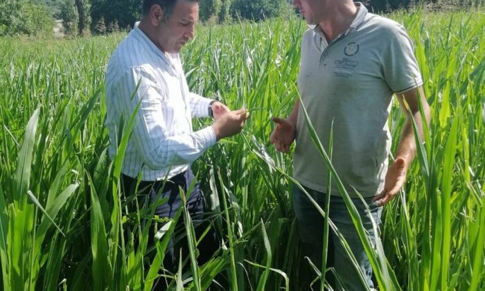 Kırklareli’nde üreticiler yaprak kurduna karşı bilgilendirildi