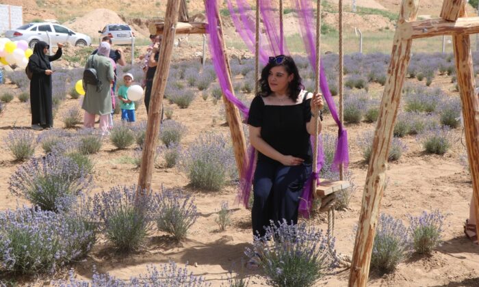 Kırşehir’de lavanta festivali düzenlendi