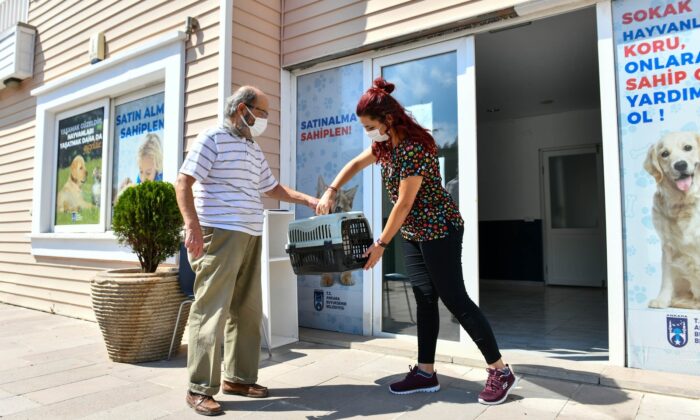 KISAMER’den sokak hayvanları için 7/24 mesai