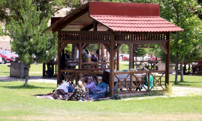 Kısıtlamasız ilk hafta sonunda piknikçiler kendilerini doğaya bıraktı