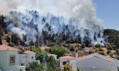 KKTC’de ormanlık alanda yangın