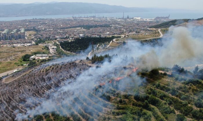 Kocaeli’de orman yangını