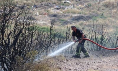 Kocaeli’deki orman yangını 1 buçuk saatte kontrol altına alındı