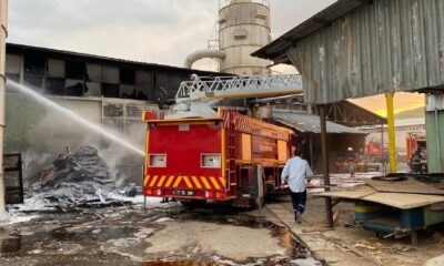 Kontrplak fabrikasında çıkan yangın korkuttu