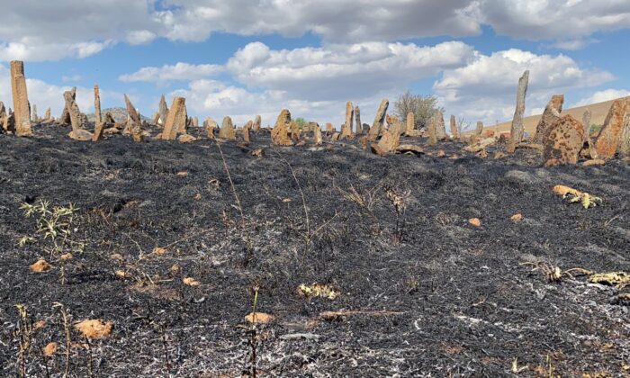 Köy mezarlığı alev alev yandı