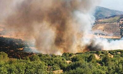 Köyceğiz’de orman yangını başladı
