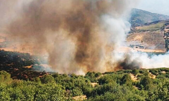 Köyceğiz’de orman yangını başladı