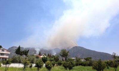 Köyceğiz’deki orman yangını devam ediyor