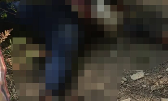 Kozan’da ormanlık alanda kadın cesedi bulundu