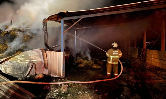 Küçükbaş Hayvan Çiftliğinde yangın
