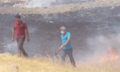 Kulp’ta 10 dönüm ormanlık alan yandı