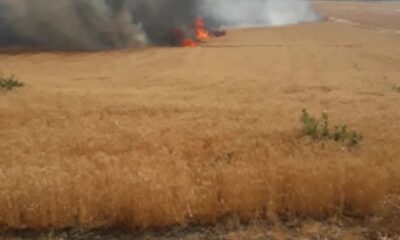 Kulp’ta 150 dönümlük buğday tarlası kül oldu