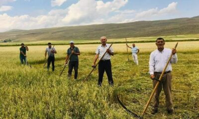 Kuraklık çiftçiyi eski aletlere yönlendirdi