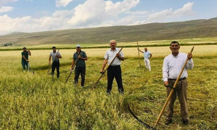 Kuraklık çiftçiyi eski aletlere yönlendirdi
