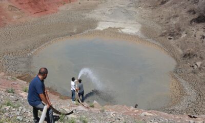 Kuraklık hat safhaya ulaştı, 10 bin balık için köy halkı seferber oldu