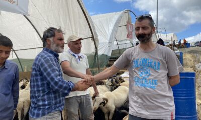 Kurban çadırları bir yandan toplanırken bir yandan pazarlıklar sürüyor