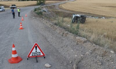 Kurban pazarından dönerken tarlaya uçtular: 3 yaralı