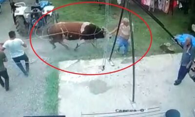 Kurbanlık boğanın saldırdığı yaşlı adam hayatını kaybetti
