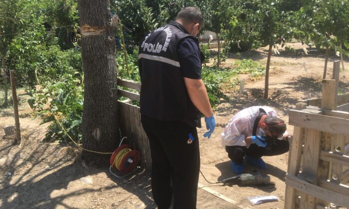 Kuru ağacı taşlama makinesiyle budarken boğazını kesti