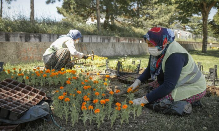 Kütahya’da 17 bin çiçek toprakla buluşuyor