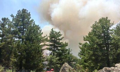 Kütahya’da orman yangını çıktı