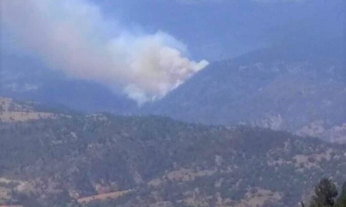 Kütahya’daki orman yangına müdahale ediliyor