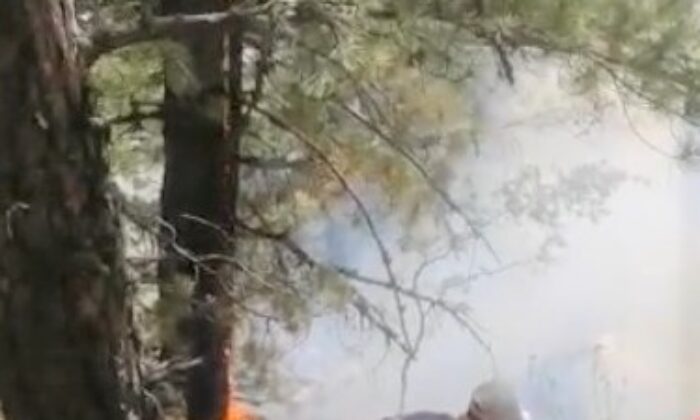 Kütahya’daki orman yangını kontrol altına alındı