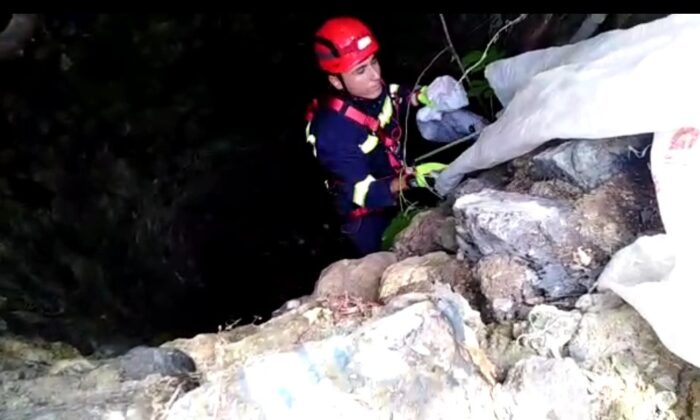 Kuyuya düşen yavru kediyi itfaiye kurtardı