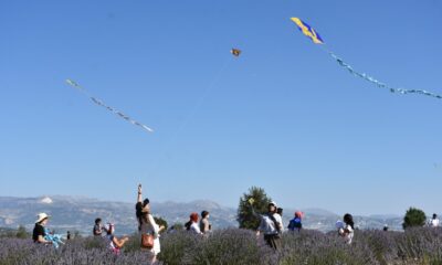 Lavanta kokulu köyde uçurtma şenliği