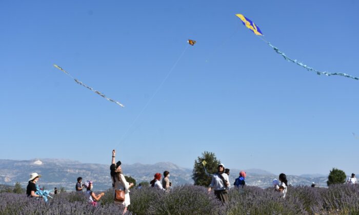 Lavanta kokulu köyde uçurtma şenliği