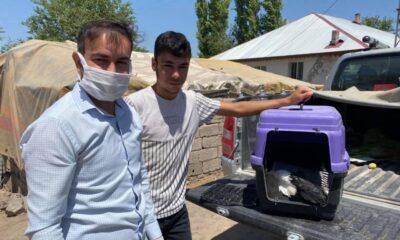 Leylek ve Ebabil kuşu tedavi altına alındı