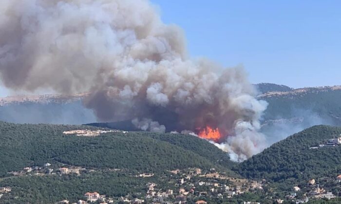 Lübnan’da korkutan orman yangını