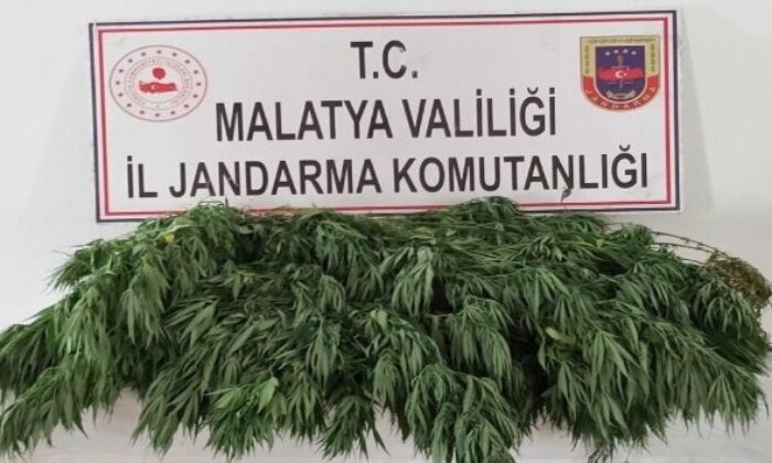 Malatya’da 10 kilo esrar ele geçirildi