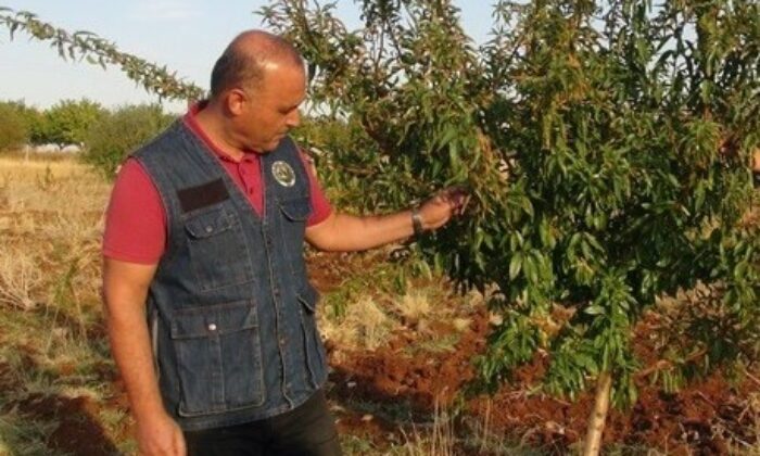 Malatya’da piknik yapanlara yangın uyarısı