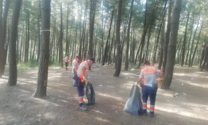 Maltepe’de yangınlara karşı orman temizliği