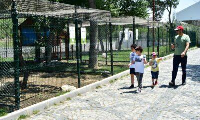 Mamak’ın mini hayvanat bahçesi ilgi odağı oldu