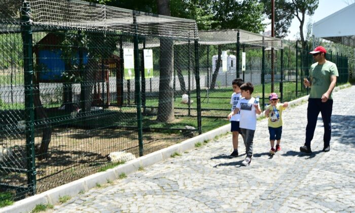 Mamak’ın mini hayvanat bahçesi ilgi odağı oldu